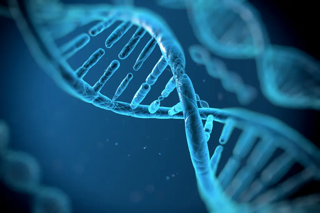 Alien Code Found in Human DNA, Scientists Claim