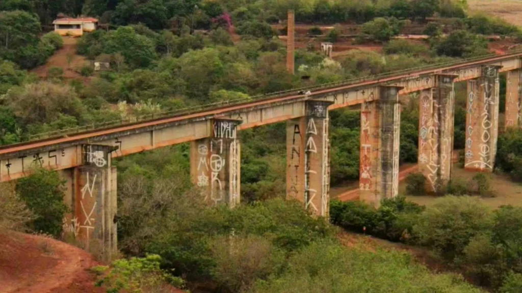 She Posted "Who Let Me Jump Off a Bridge?" — Hours Later, She Was Dead