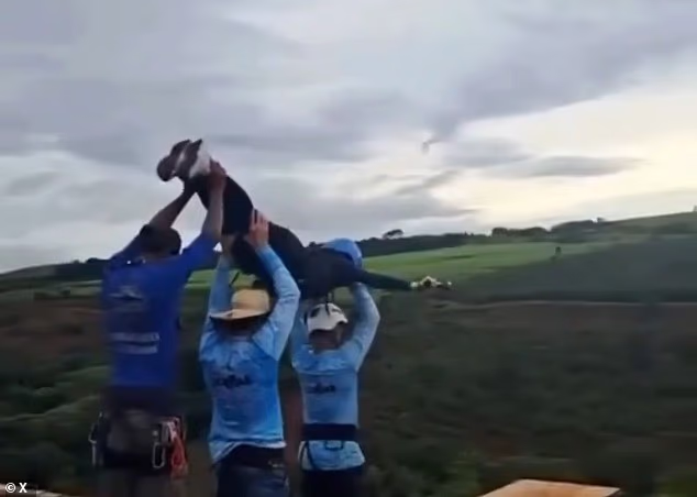 Brazil Woman Dies