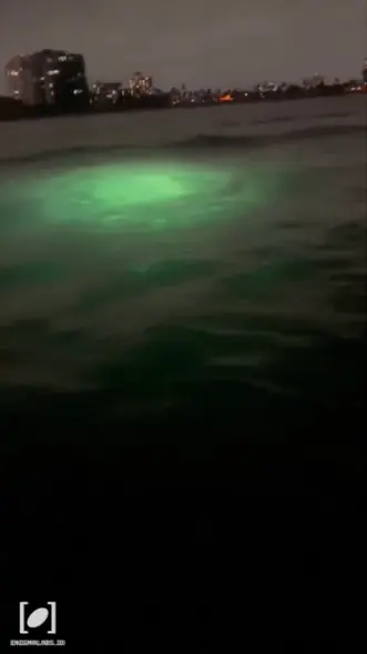 9,000 USOs Lurking Off US Coasts