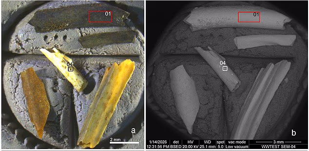Oldest Fire Evidence
